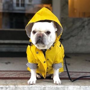 Dog/Cat Raincoat with Pockets & Hoodie